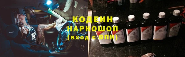 хмурый Каменногорск