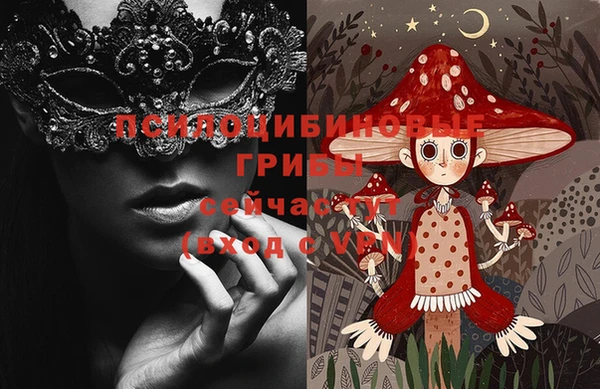 хмурый Каменногорск