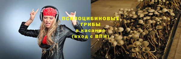 молекула духа Киреевск