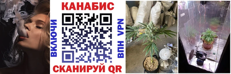 дарк нет клад  цена   Красный Холм  Канабис план 